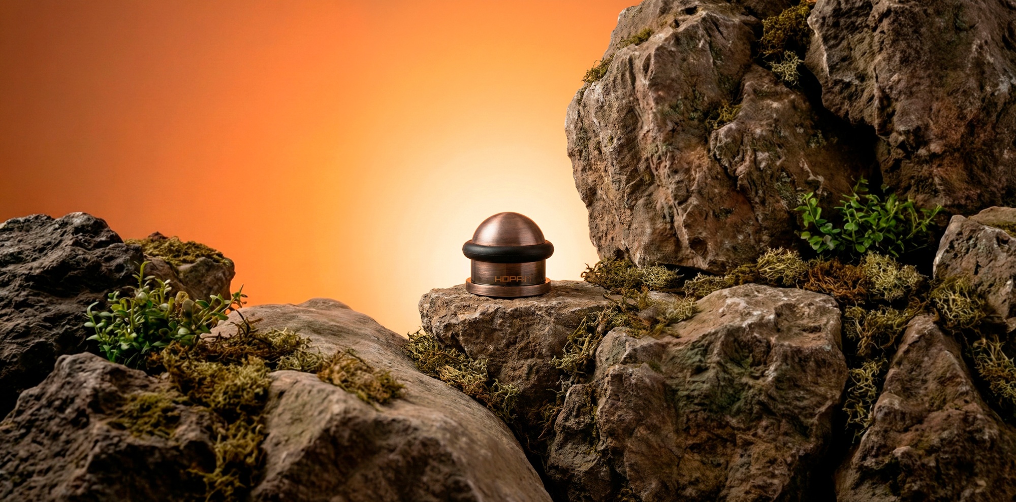 Gemini_Generated_Image_qds6seqds6seqds6.jpg Gemini_Generated_Image_qds6seqds6seqds6.jpg